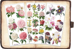 The All Floral Sticker Club by Violette Stickers