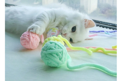         Start with our KITTEN box - then choose from 30 additional box themes for future months!  Modern Cat themed products!