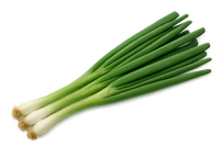 Herb Bundle: 12 Ready-to-Plant Seedlings, Starts, Plugs, Garden Ready, Live Plants, Transplants, Pre-sprouted, for Soil & Hydroponic gardens