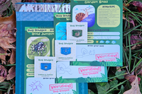Three completed Bug Badges discovery cards next to a stamped return envelope—kids mail-back nature challenge with 3 monthly bug cards