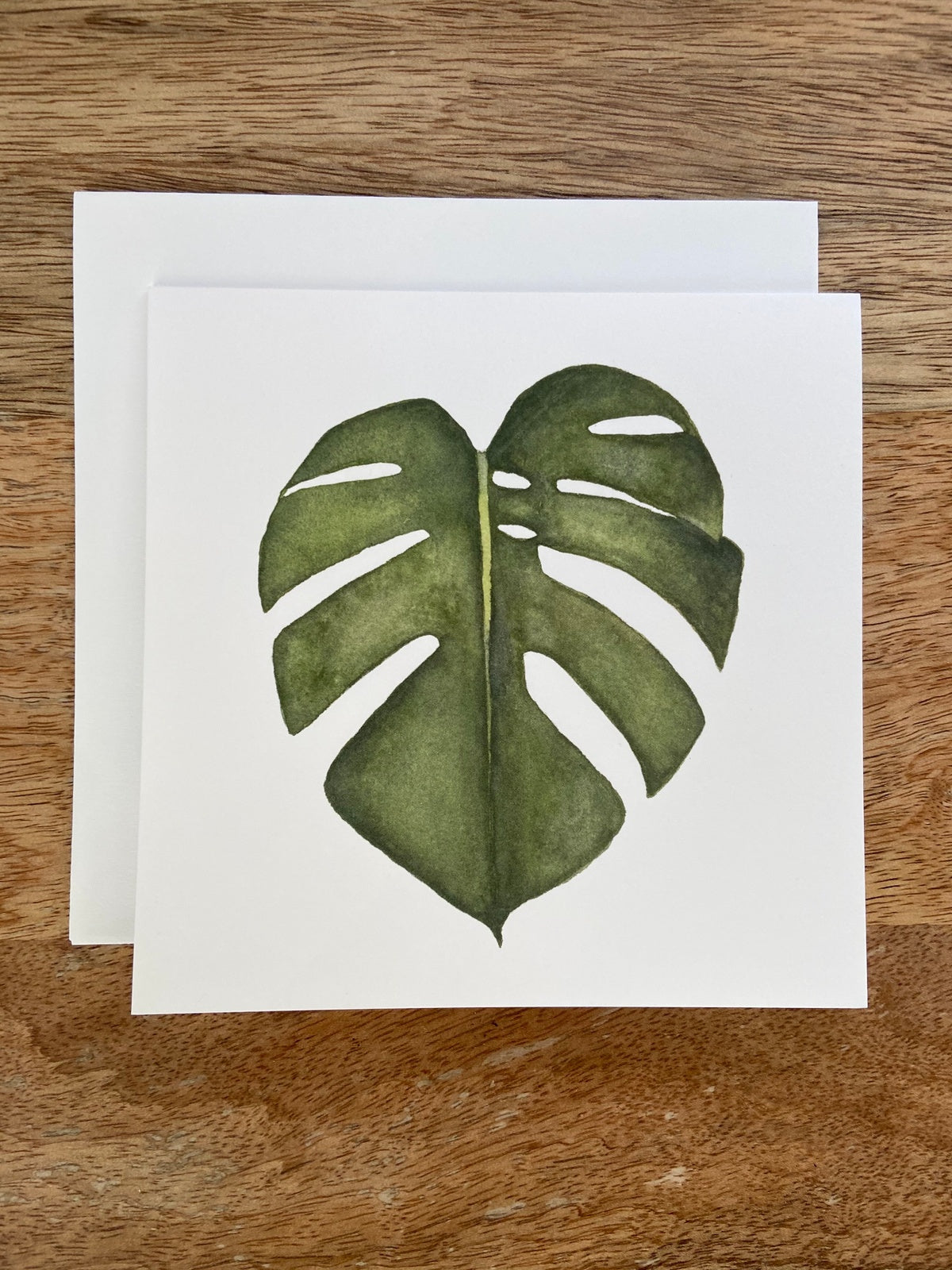 Monstera Plant Any Occasion Card