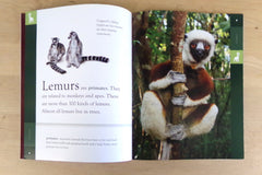 An interior spread of one of our books featuring Lemurs. All books featured will follow this same formatting.