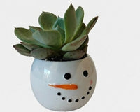 Tiny Tot Snowman with 2-inch Succulent