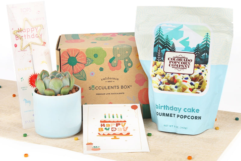 Birthday gift subscription boxes