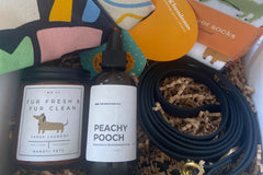 Large Pets & Plants Box for dog and cat lovers : Bahati Box