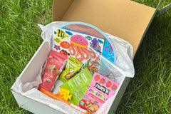 Deluxe Box – Sibling Monthly Box with Bonus Craft