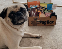 Premium Pug Box.