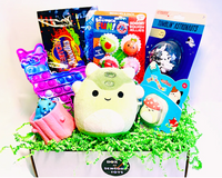 • Pop-Up Squirrel  •Tumblin Astronauts   •Llama bubble pop  •Noodlies • Fruit Mochis  • Magnetic Slides •Plush Squishmallows 
Fidget box