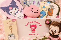 Kawaii Mystery Box From Japan!
