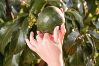 Heritage Harvest Box - The Perfect Gift for Food Lovers
