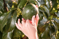 Heritage Harvest Box - The Perfect Gift for Food Lovers