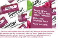 Raspberry Tinted Lip Balm