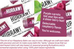 Raspberry Tinted Lip Balm