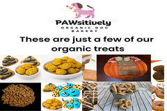 Hand-decorated organic dog cookies made with natural ingredients
