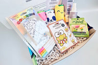 TWEEN WISHBOX - Bi-monthly Box