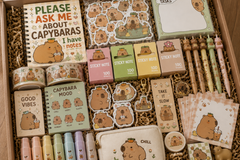 Capybara Box

Happy Mail Stationery Club capybara-themed stationery subscription box featuring capybara notebook, stickers, memo pads, washi