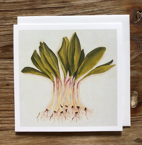 Leeks Any Occasion Card
