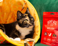 Feral Friends Monthly Cat Box. Spoil Yours. Feed a Feral Cat for 30 Days.