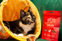 Feral Friends Monthly Cat Box. Spoil Yours. Feed a Feral Cat for 30 Days.