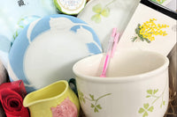 Kizuna Lifestyle Box from Japan (includes shipping costs)