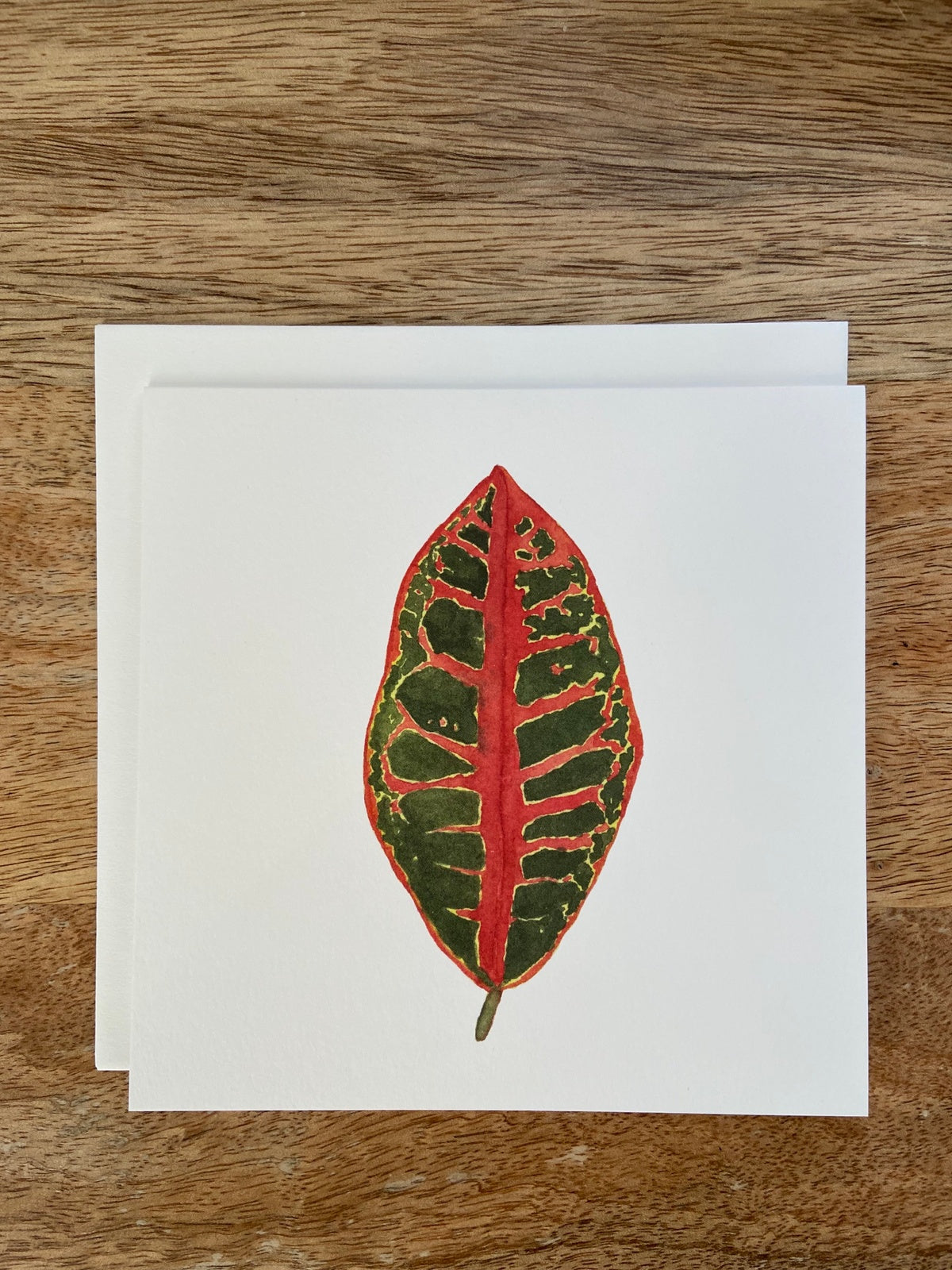 Croton Plant Any Occasion Card
