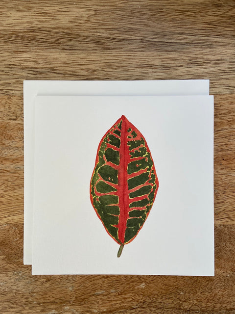 Croton Plant Any Occasion Card