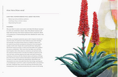 Healing Guide To Flower Essences by Alena Hennessey
