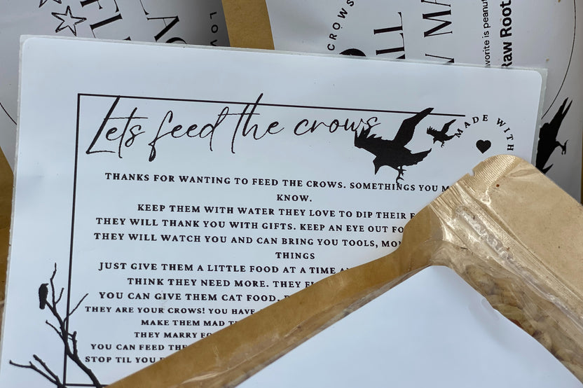 Lets Be friends Crow box | Feed the crows starter lit