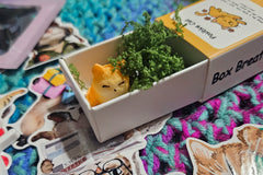 Whisker Wonders