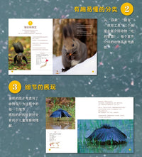 动物高清摄影大片科普《吃的智慧》