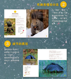 动物高清摄影大片科普《吃的智慧》