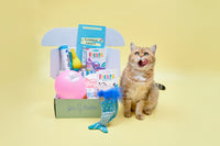 Monthly Gus & Bella Box