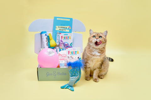 Monthly Gus & Bella Box