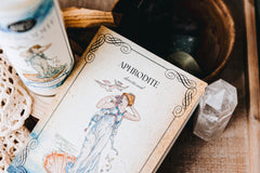 Tamed Wild Box Bi-Monthly
