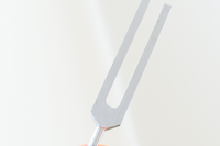 Quarterly Tuning Fork Subscription | Self Healing Collection | Sound and Vibrational Healing | Frequency Work