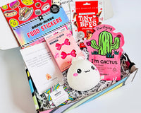 TWEEN WISHBOX - Bi-monthly Box