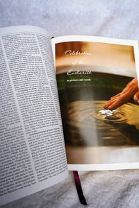 Fireside Signature Catholic Bible