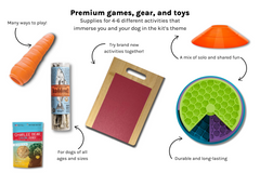 A sample of the products in a Discovery Kit including treats, food puzzles, a scratch board, and agility cones.