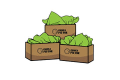 Three illustrated Guinea Pig Pak subscription boxes filled with green tissue paper, stacked together and featuring the Guinea Pig Pak logo.