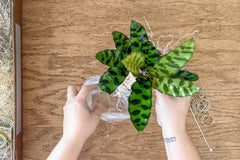 Plant Pet Club