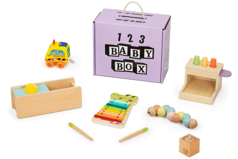 123 Baby Box (11-12 Months Box)