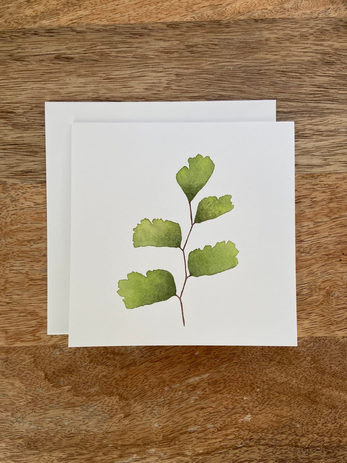Maidenhair Fern Plant Any Occasion Card