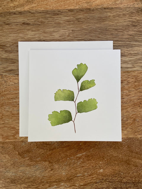 Maidenhair Fern Plant Any Occasion Card