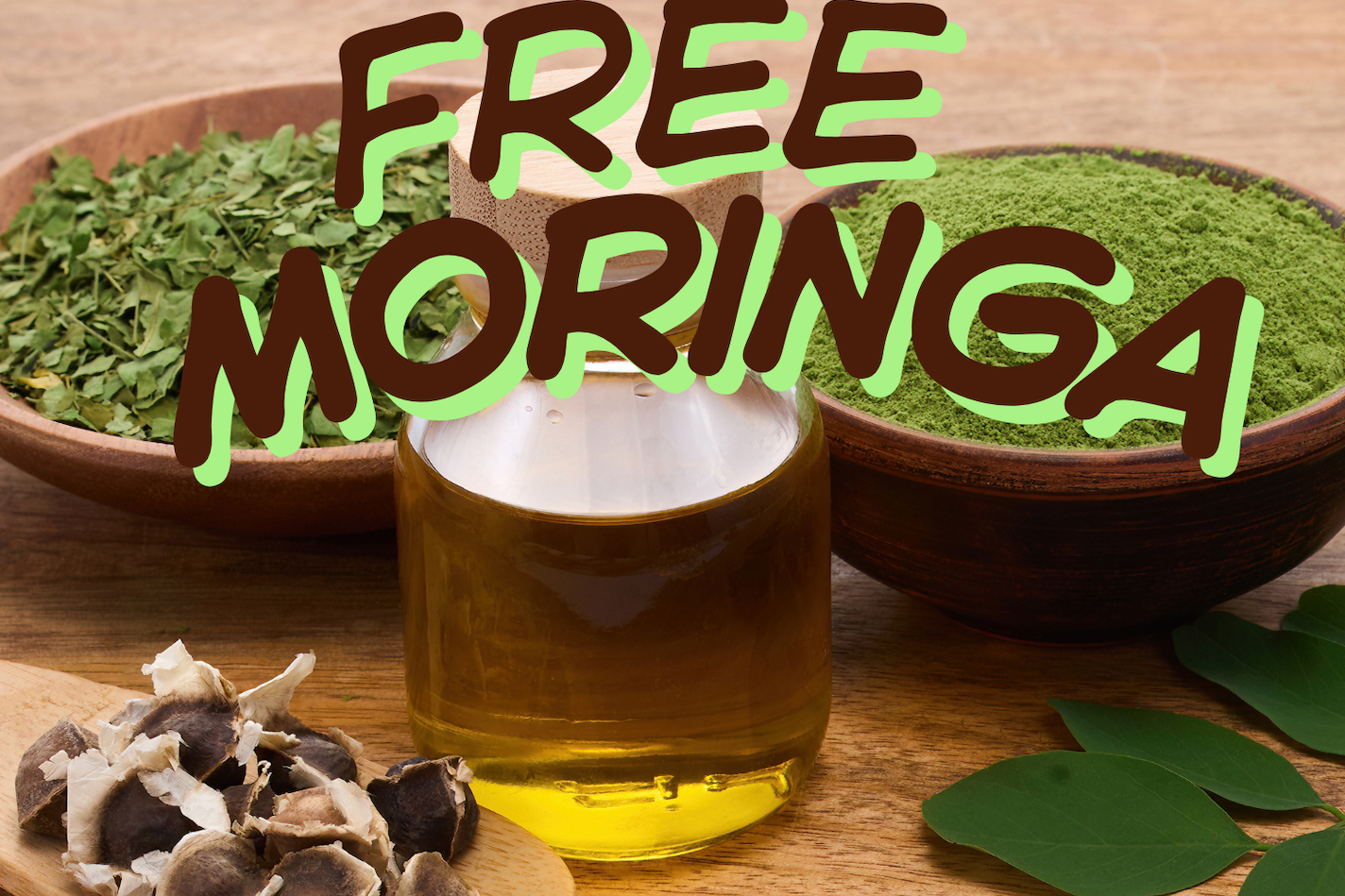 Free Organic Moringa seed packet with all new subscriptions plus 10% off Discover the miracle tree.  