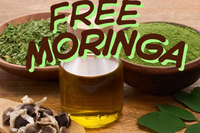 Free Organic Moringa seed packet with all new subscriptions plus 10% off Discover the miracle tree.  