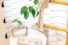 Perfect for a plant lover! This box included a propagation station, macrame plant hanger, + a set of watercolor succulent stickers.