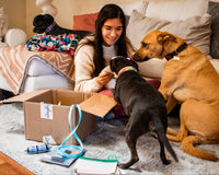 Discovery Kits - Learn, Play, & Grow with Your Dog!