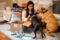 A happy woman plays with her three dogs next to an open Discoveyr Kit box in her living room. You can see treats, a leash, and a booklet.