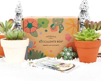 employee holiday gifts 2025, unique corporate holiday gifts, corporate holiday gifts for clients, holiday gifts 2025