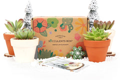 employee holiday gifts 2025, unique corporate holiday gifts, corporate holiday gifts for clients, holiday gifts 2025